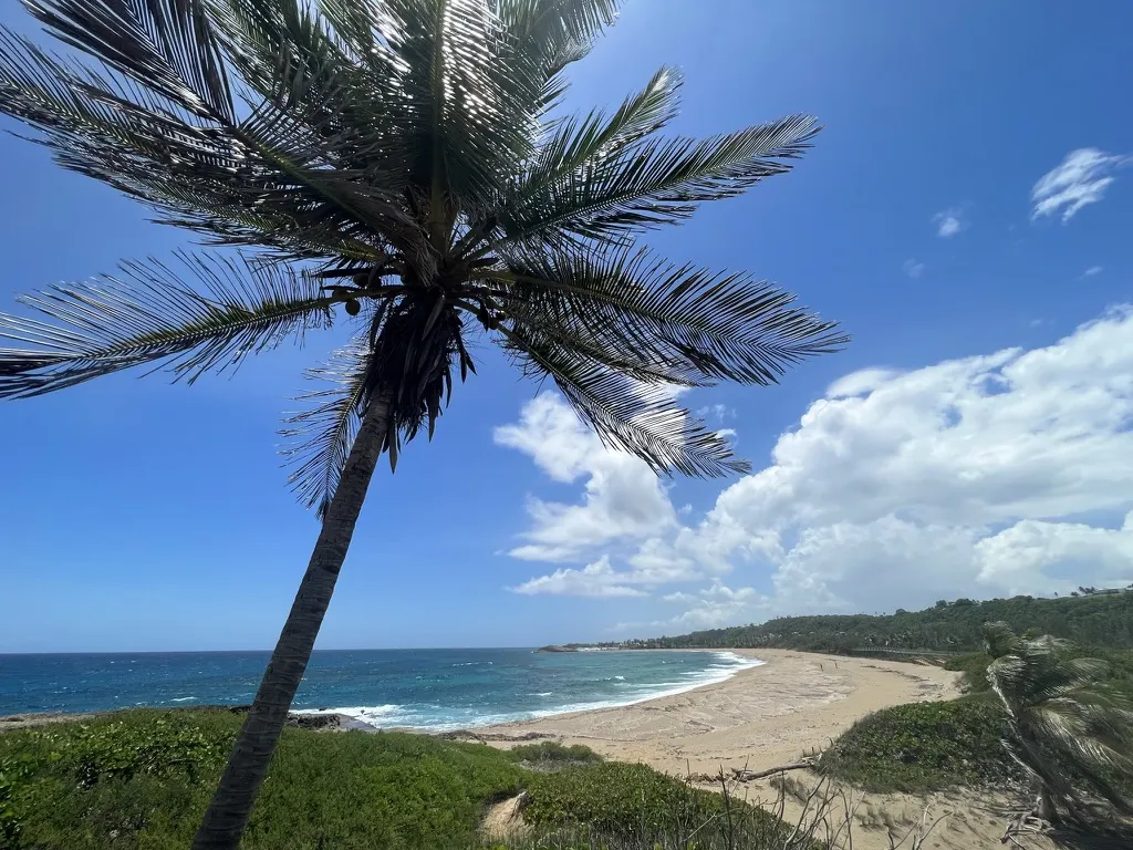 Nearby beach